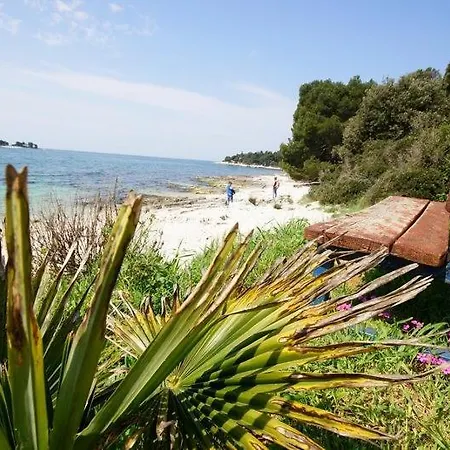 In With Sea View, Balcony, Air Conditioning, W-lan 81-3 *
